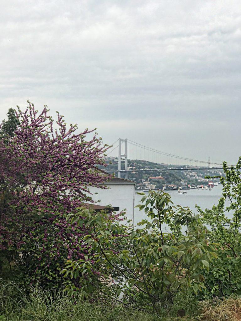 tourist-guide-for-istanbul-5-hidden-places-in-istanbul-aley-girl-travel-fashion-technology-blog-a-view-from-kuzguncuk