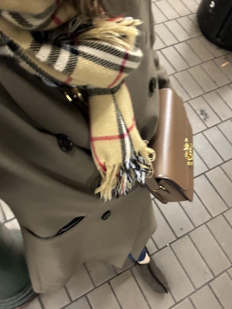 Burberry scarf with The Row shoes Cleine bag