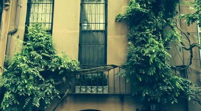 Spotted with Dotted Skirt 2 Spotted with Dotted Skirt