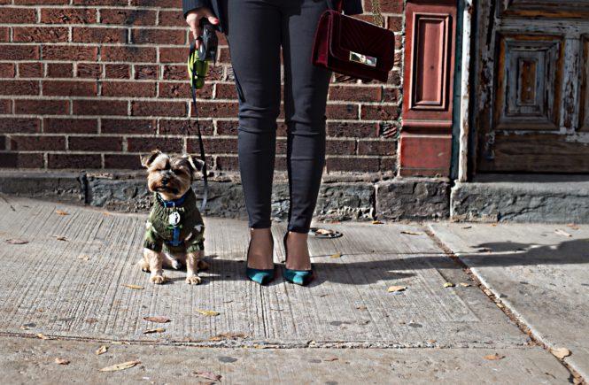 Skinny Jeans with Blazer Jacket 1 Skinny Jeans with Blazer Jacket