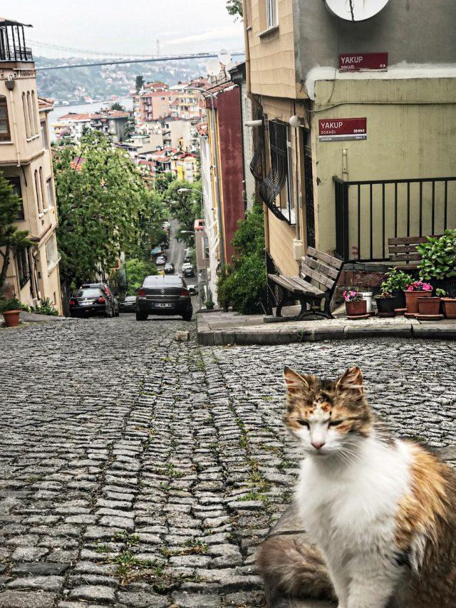 5 Hidden Places to Visit in Istanbul